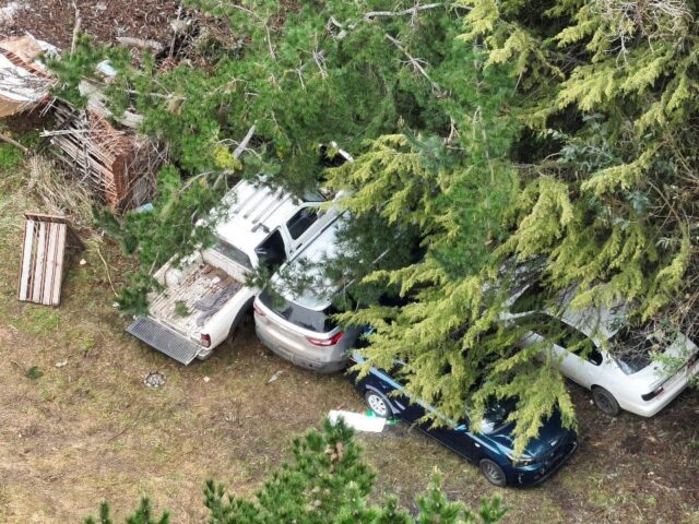 Imágenes de dron municipal evidencian posible escondite de vehículos robados en zona rural de Temuco