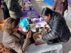 Vecinas y vecinos de Quepe celebran jornada de intercambio cultural con Trafkintu y Mizawun Mapuche