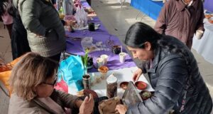 Vecinas y vecinos de Quepe celebran jornada de intercambio cultural con Trafkintu y Mizawun Mapuche