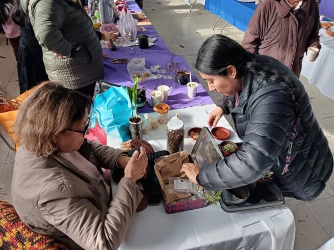 Vecinas y vecinos de Quepe celebran jornada de intercambio cultural con Trafkintu y Mizawun Mapuche