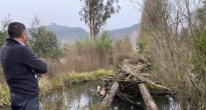 Dirección de vialidad y municipio de Pitruquén anuncian reposición de puente caído en sector Mahuidanche