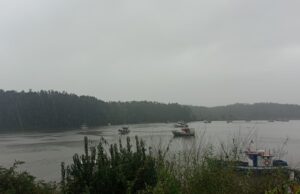 En Toltén se movilizaron a más de mil personas en evacuación por alerta de tsunami y habilitaron ocho albergues