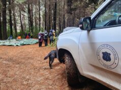 Salud municipal de Pitrufquén presta apoyo en punto de evacuación en Toltén ante alerta de tsunami