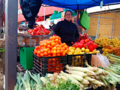 La reina de la feria: María José Núñez, la emprendedora que superó sus miedos y hoy inspira a otras mujeres en Temuco