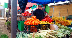 La reina de la feria: María José Núñez, la emprendedora que superó sus miedos y hoy inspira a otras mujeres en Temuco