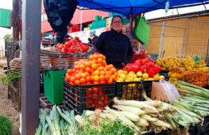 La reina de la feria: María José Núñez, la emprendedora que superó sus miedos y hoy inspira a otras mujeres en Temuco