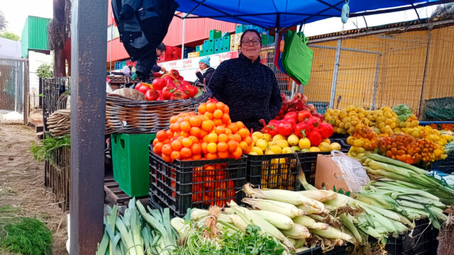 La reina de la feria: María José Núñez, la emprendedora que superó sus miedos y hoy inspira a otras mujeres en Temuco
