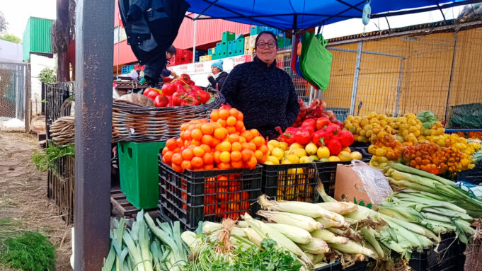 La reina de la feria: María José Núñez, la emprendedora que superó sus miedos y hoy inspira a otras mujeres en Temuco
