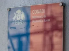 Analizan continuidad de subdirectora (s) de Conadi Araucanía tras polémica publicación en redes sociales