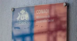 Analizan continuidad de subdirectora (s) de Conadi Araucanía tras polémica publicación en redes sociales