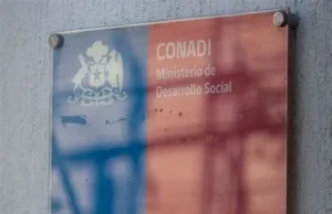 Analizan continuidad de subdirectora (s) de Conadi Araucanía tras polémica publicación en redes sociales