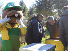 Forestín entrega árboles nativos melíferos a productores de miel de La Araucanía