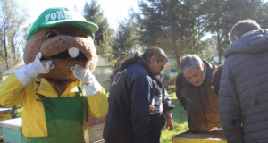 Forestín entrega árboles nativos melíferos a productores de miel de La Araucanía