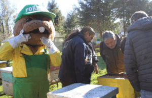 Forestín entrega árboles nativos melíferos a productores de miel de La Araucanía