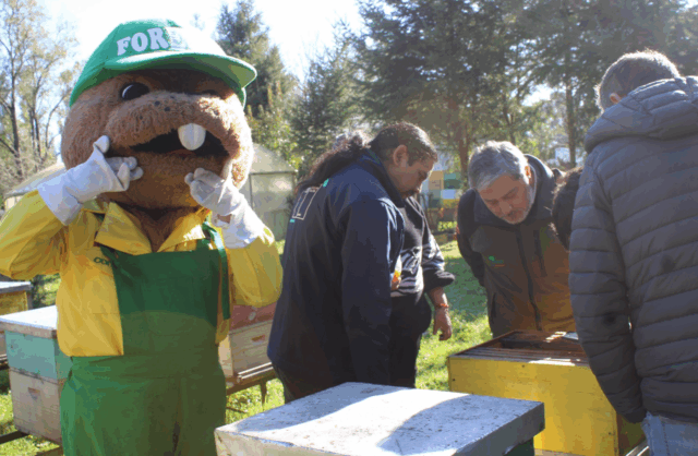 Forestín entrega árboles nativos melíferos a productores de miel de La Araucanía