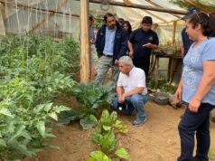 Agricultores de La Araucanía avanzan a una producción sostenible