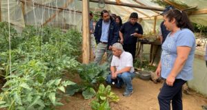 Agricultores de La Araucanía avanzan a una producción sostenible