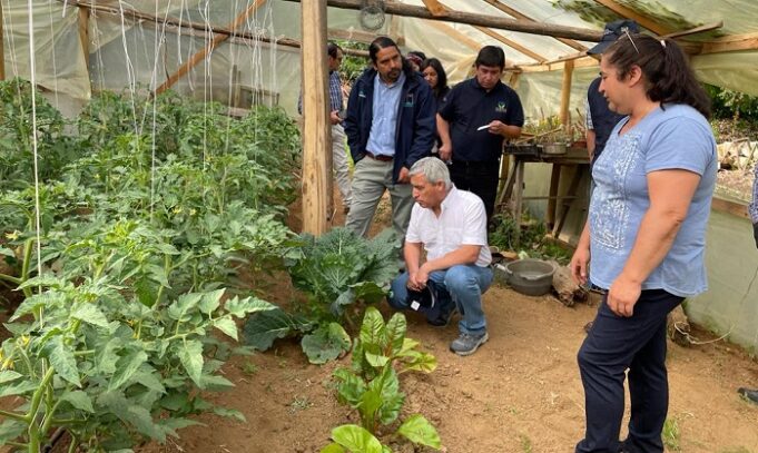 Agricultores de La Araucanía avanzan a una producción sostenible