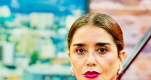 Nuevo golpe en municipio de Temuco: luego exhaustiva investigación, concejala Peñailillo destapa posible tráfico de influencia en licitaciones municipales