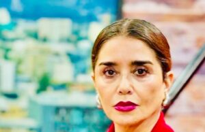 Nuevo golpe en municipio de Temuco: luego exhaustiva investigación, concejala Peñailillo destapa posible tráfico de influencia en licitaciones municipales