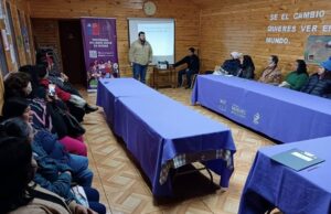 Programa Jefas de Hogar desarrolla taller de autocuidado emocional en Freire