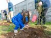 Municipio, Conaf y programa quiero mi barrio realizan plantación participativa en sector poniente de Pitrufquén
