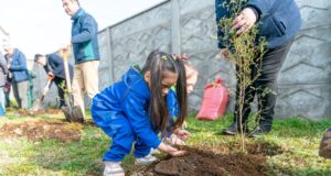Municipio, Conaf y programa quiero mi barrio realizan plantación participativa en sector poniente de Pitrufquén