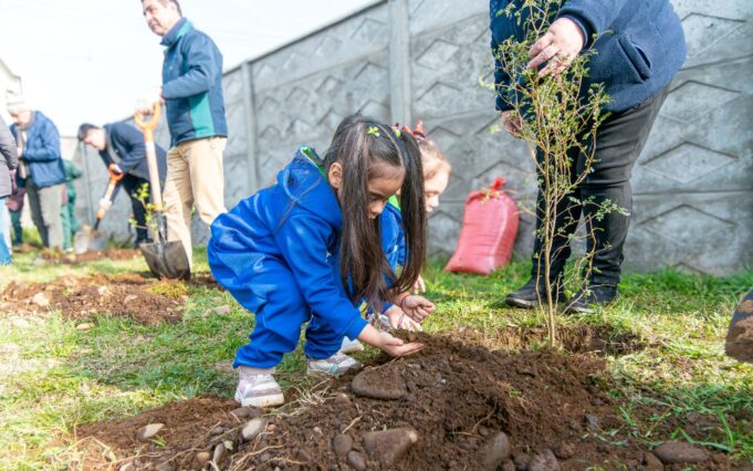 Municipio, Conaf y programa quiero mi barrio realizan plantación participativa en sector poniente de Pitrufquén