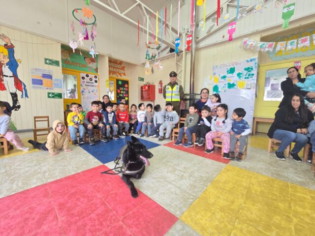Gamma, la perrita policial de la comisaria de Pitrufquén se robó los corazones en el jardín infantil «El Principito»
