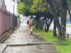 Vereda en mal estado y árboles sin podar agravan la falta de luz en sector céntrico de Pitrufquén