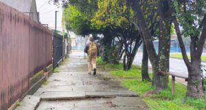 Vereda en mal estado y árboles sin podar agravan la falta de luz en sector céntrico de Pitrufquén
