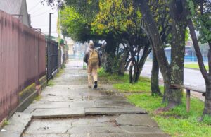 Vereda en mal estado y árboles sin podar agravan la falta de luz en sector céntrico de Pitrufquén