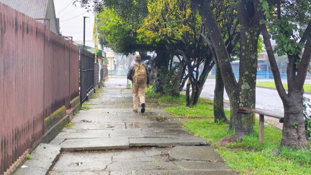 Vereda en mal estado y árboles sin podar agravan la falta de luz en sector céntrico de Pitrufquén