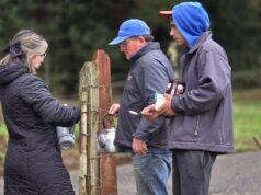 Hospital de Toltén despliega operativo de emergencia en el Cerro El Arrayán ante alerta de tsunami