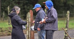 Hospital de Toltén despliega operativo de emergencia en el Cerro El Arrayán ante alerta de tsunami
