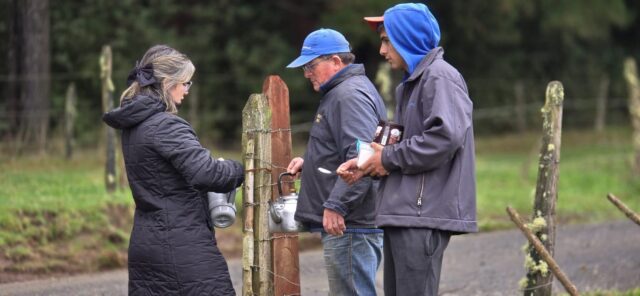 Hospital de Toltén despliega operativo de emergencia en el Cerro El Arrayán ante alerta de tsunami