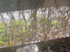 Urge proteger medidores de agua por heladas: Aguas Araucanía registró congelamiento de más de 1500