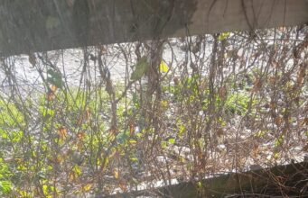 Urge proteger medidores de agua por heladas: Aguas Araucanía registró congelamiento de más de 1500