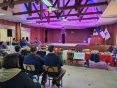 Freire celebró con éxito la feria de la lana 2025 en el centro cultural