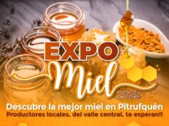 Pitrufquén se prepara para vivir una nueva edición de la expo miel 2025 este miércoles 6 de agosto en la plaza de Armas