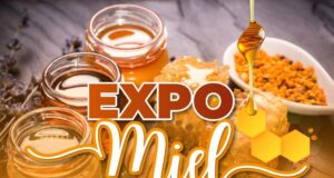 Pitrufquén se prepara para vivir una nueva edición de la expo miel 2025 este miércoles 6 de agosto en la plaza de Armas