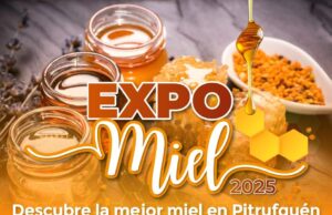 Pitrufquén se prepara para vivir una nueva edición de la expo miel 2025 este miércoles 6 de agosto en la plaza de Armas