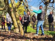 Mujeres jefas de hogar de Freire se capacitan en instalación y cuidado de huertos frutales durante visita a empresa agrícola
