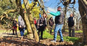 Mujeres jefas de hogar de Freire se capacitan en instalación y cuidado de huertos frutales durante visita a empresa agrícola