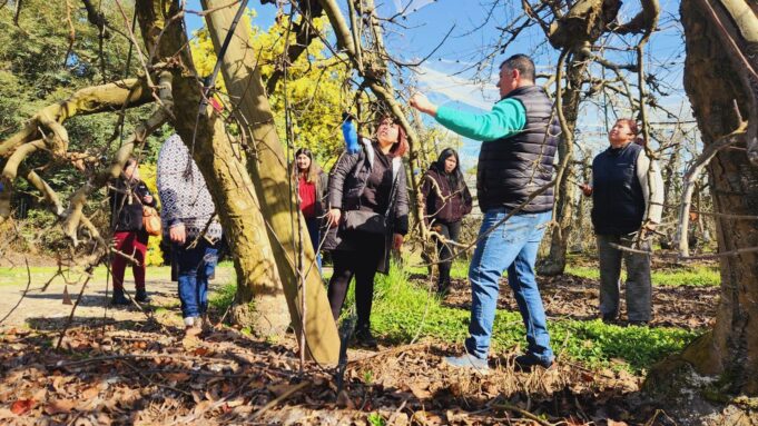 Mujeres jefas de hogar de Freire se capacitan en instalación y cuidado de huertos frutales durante visita a empresa agrícola
