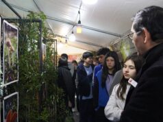 Pitrufquén recibe exposición fotográfica inmersiva “El Bosque Anidado”