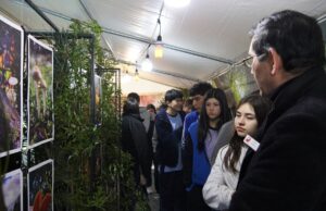 Pitrufquén recibe exposición fotográfica inmersiva “El Bosque Anidado”