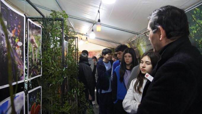 Pitrufquén recibe exposición fotográfica inmersiva “El Bosque Anidado”