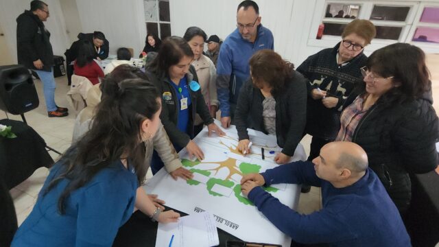 Salud rural municipal de Pitrufquén realizó diagnóstico participativo en el sector costa de la comuna