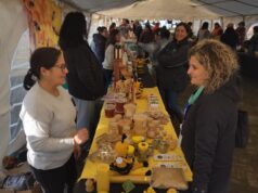 Aroma y sabor: Pitrufquén celebra la apicultura local y sus beneficios con la expo miel 2025